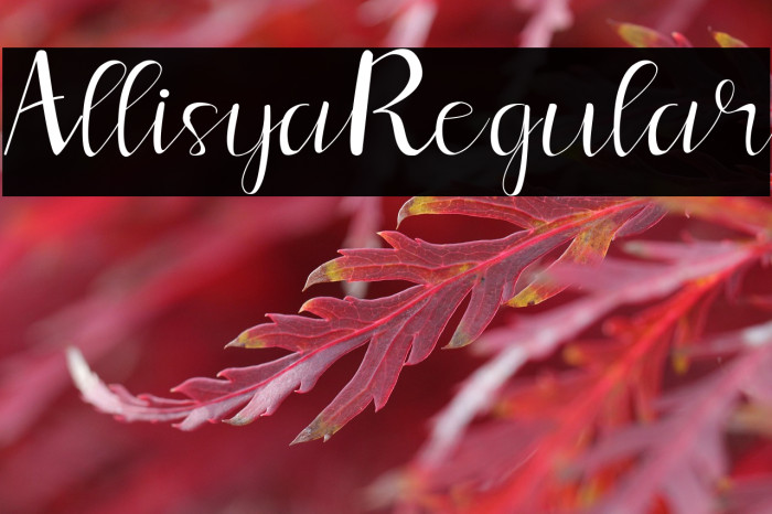 Allisya Regular Example 2
