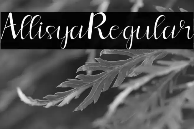 Allisya Regular Font examples