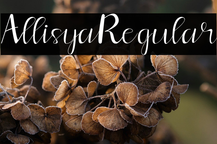 Allisya Regular Example 3