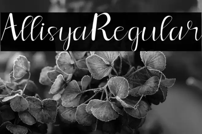 Allisya Regular Font examples