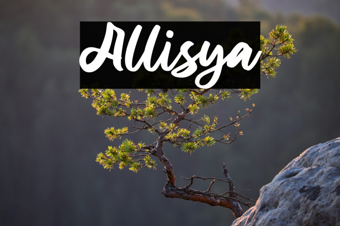 Allisya Example 3