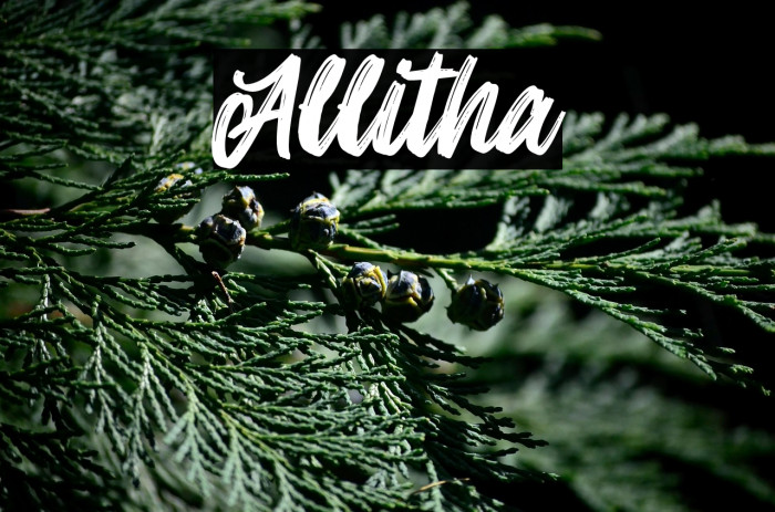 Allitha Example 3