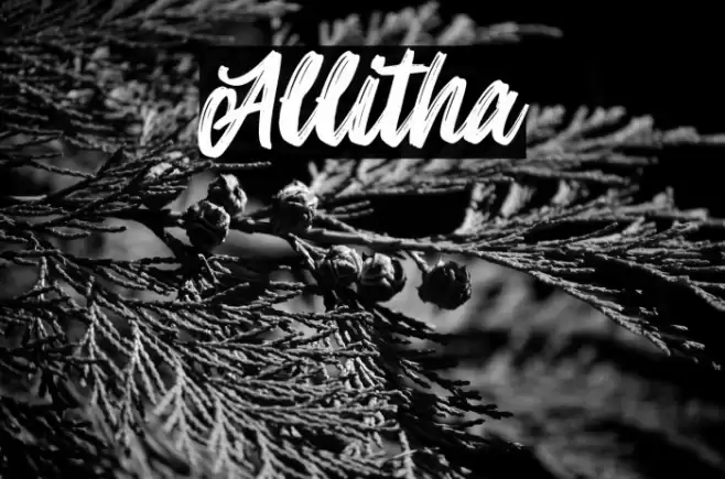 Allitha Font examples