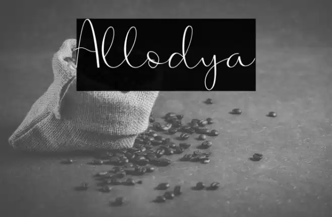 Allodya Font examples