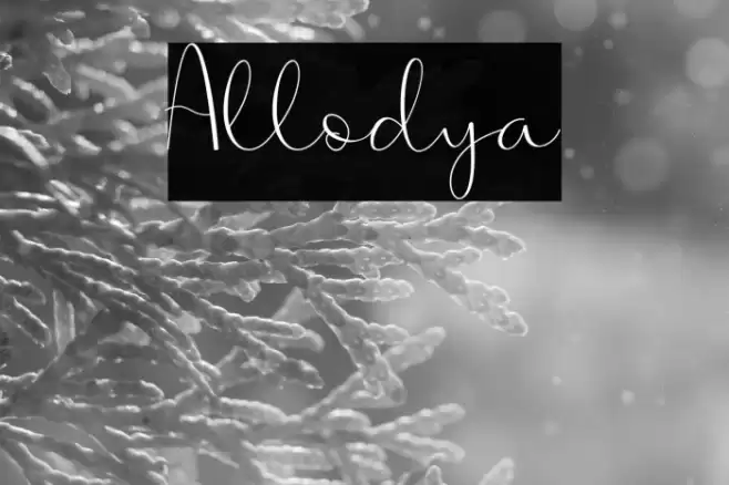 Allodya Font examples