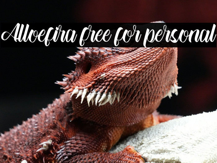 Alloefira free for personal Example 3