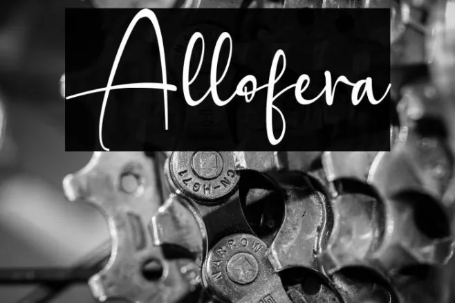 Allofera Example 1