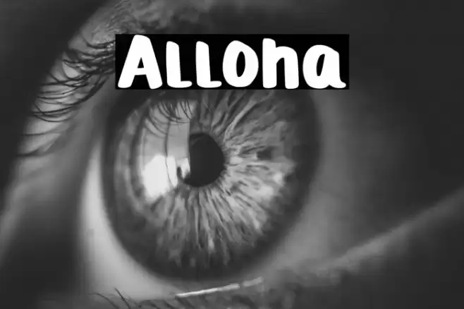 Alloha 字体 examples