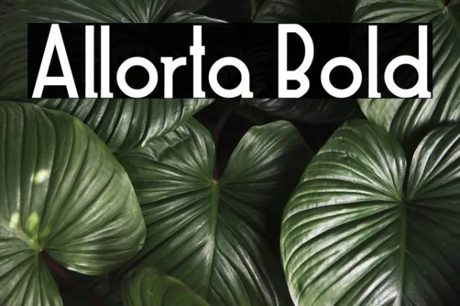 Allorta Bold Example 1