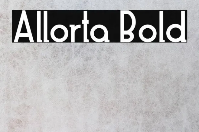 Allorta Bold Example 2