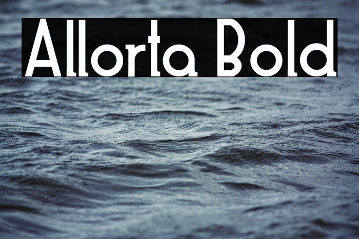 Allorta Bold Example 3