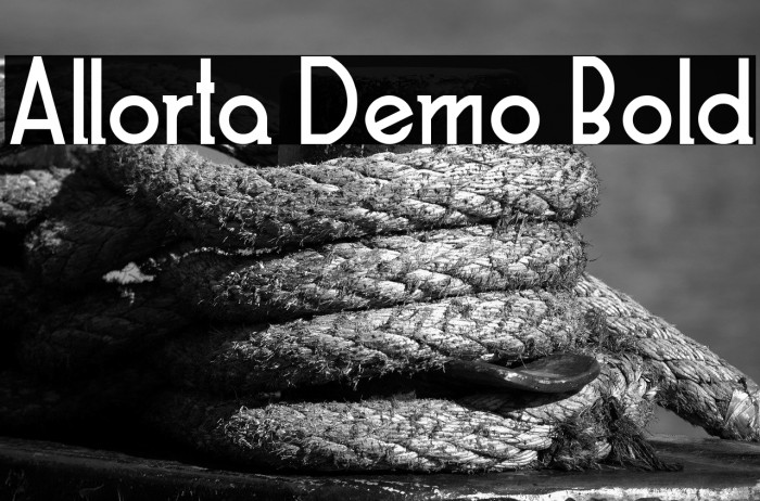 Allorta Demo Bold Example 1
