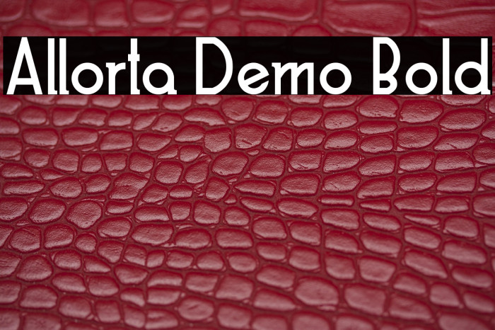 Allorta Demo Bold Example 2