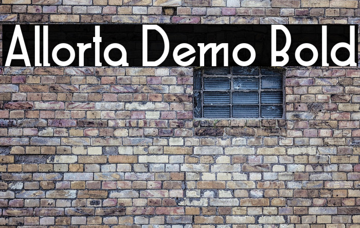 Allorta Demo Bold Example 3