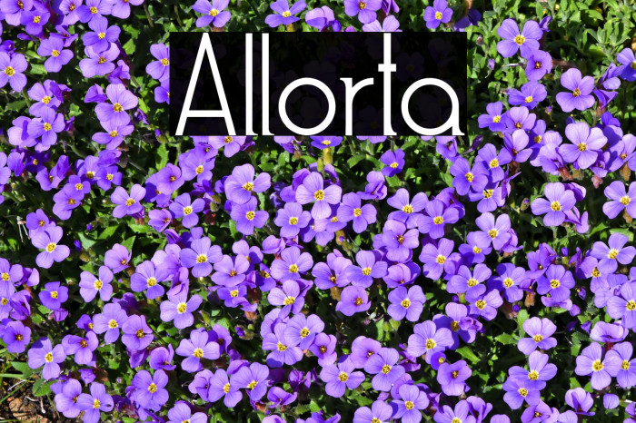 Allorta Font examples