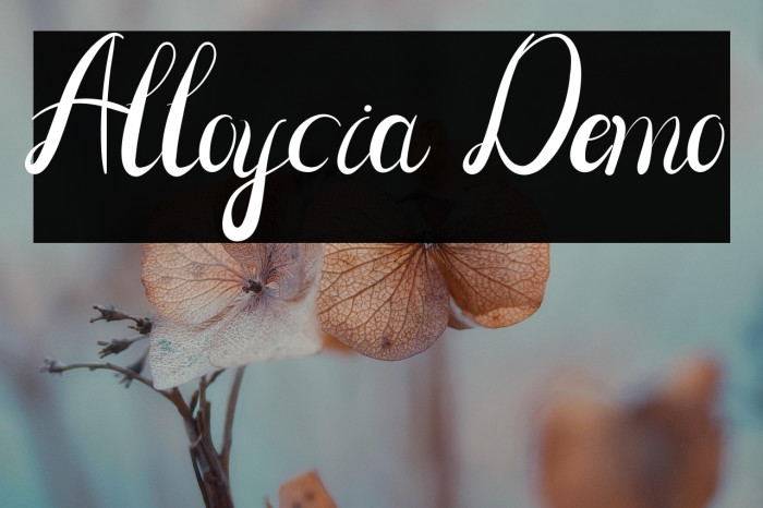 Alloycia Demo Example 2