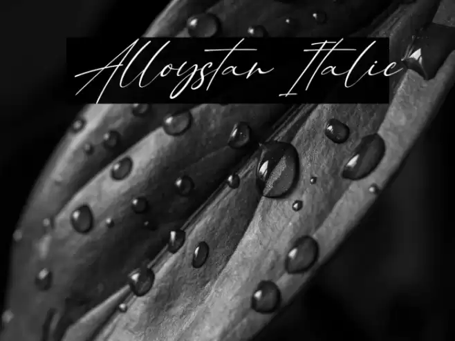 Alloystan Italic Font examples