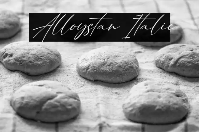 Alloystan Italic Font examples