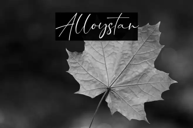 Alloystan Font examples