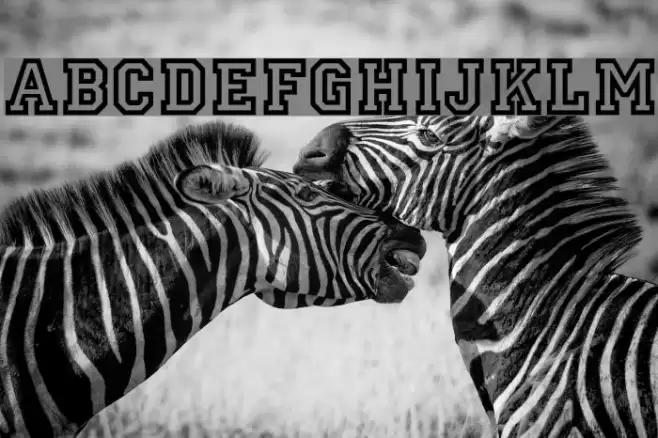 Allstar Regular Font examples