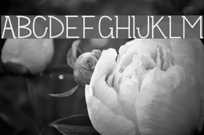 Allumeuse Flirt Fuentes examples