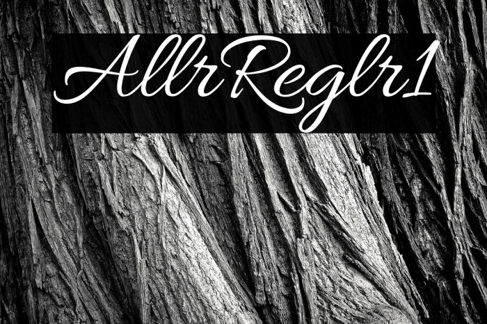 Allura Regular1 Example 1