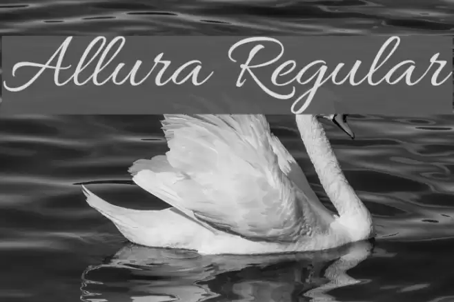 Allura Regular Font examples