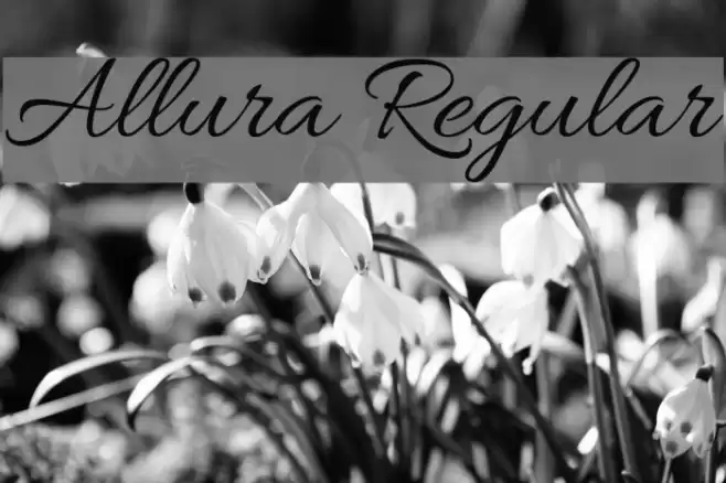 Allura Regular Font examples