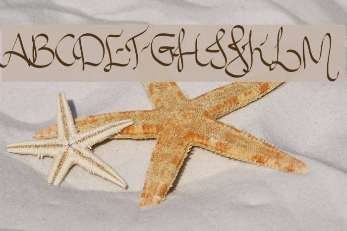 Allura Script Example 1