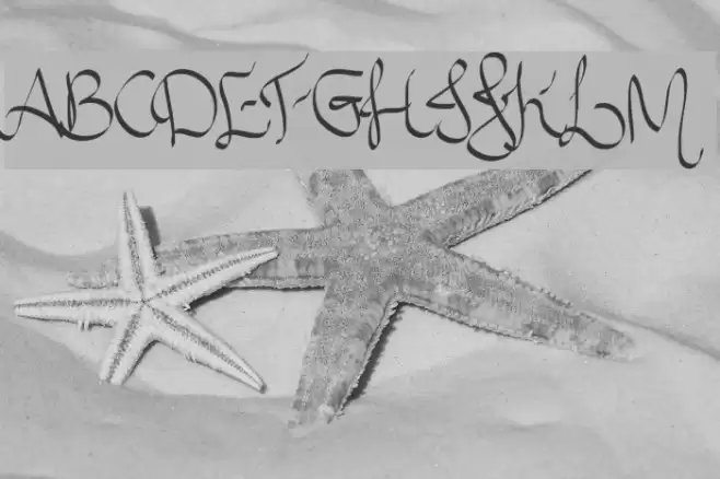 Allura Script Font examples