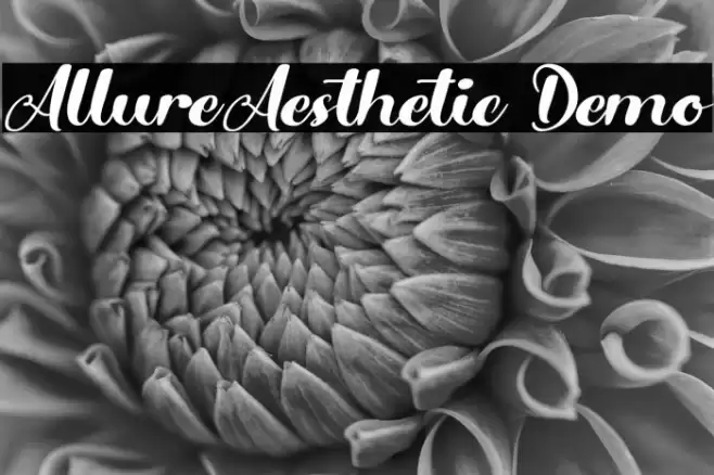 AllureAesthetic Demo Font examples