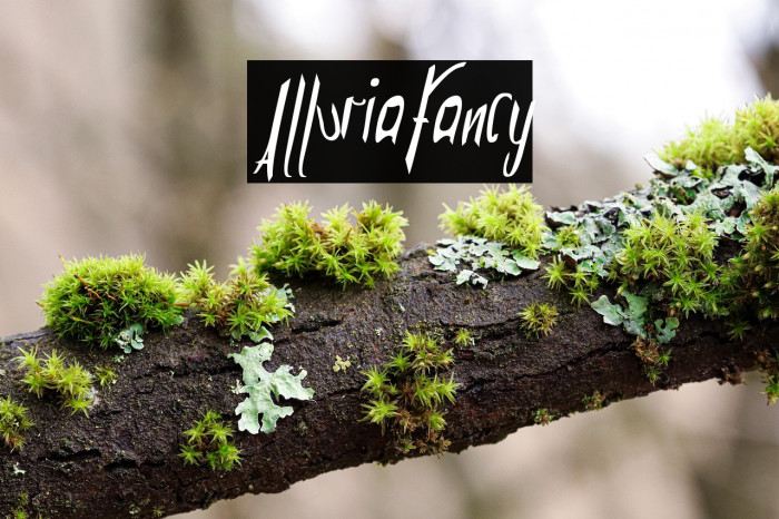 AlluriaFancy Example 2