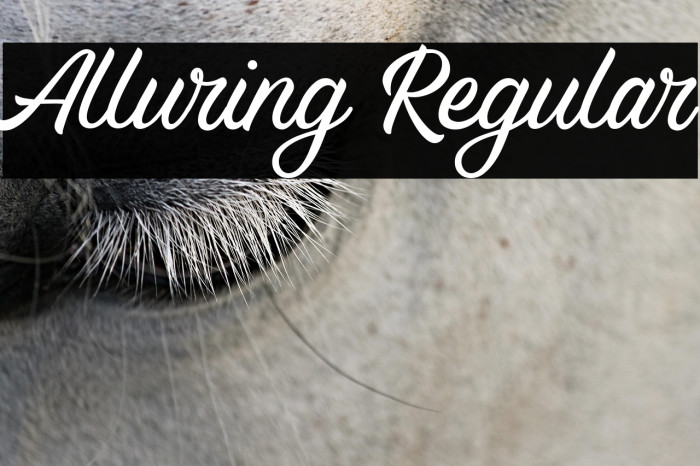 Alluring Regular Example 1