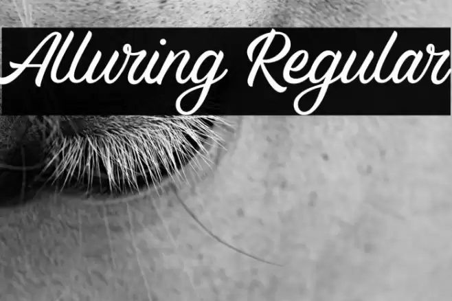 Alluring Regular Fonte examples