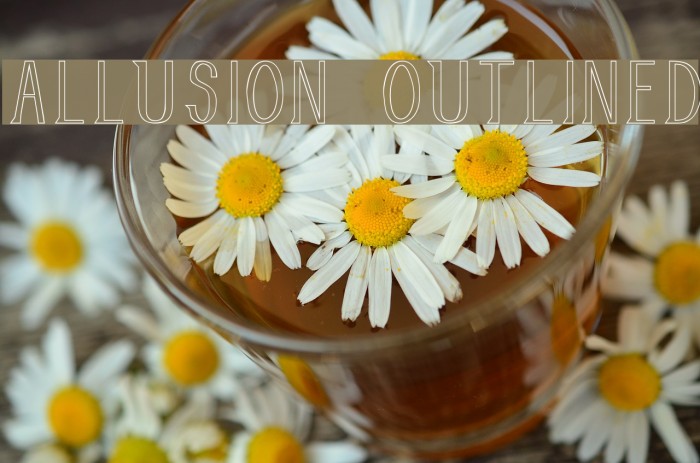 Allusion Outlined Шрифта examples
