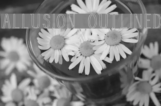 Allusion Outlined Font examples