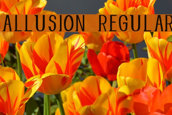 Allusion Regular Шрифта examples