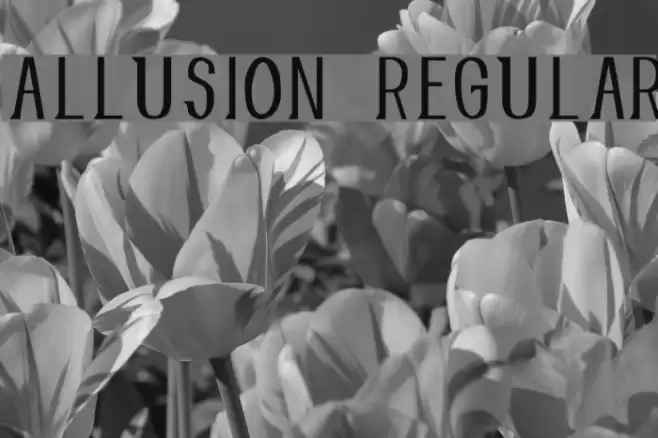 Allusion Regular Font examples