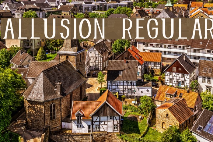 Allusion Regular Шрифта examples