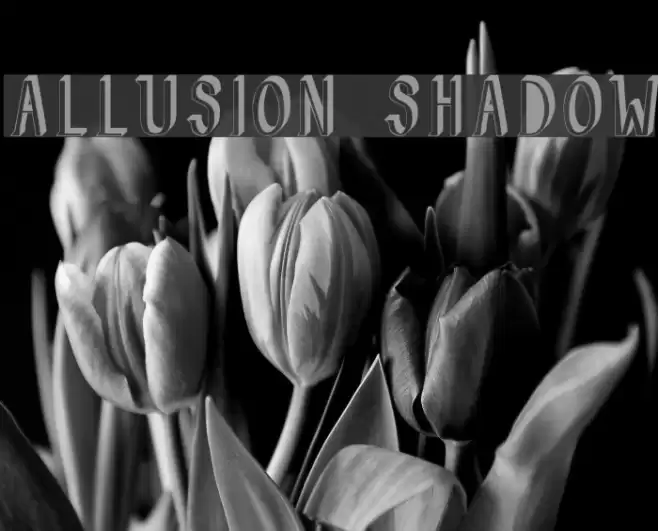 Allusion Shadow Font examples