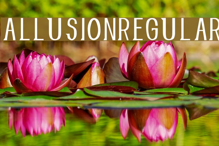 AllusionRegular Font examples