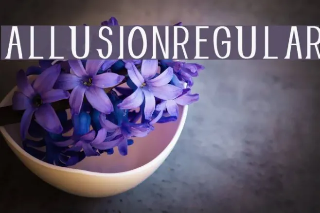 AllusionRegular Example 2