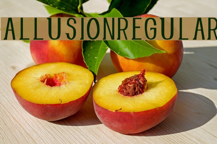 AllusionRegular Font examples