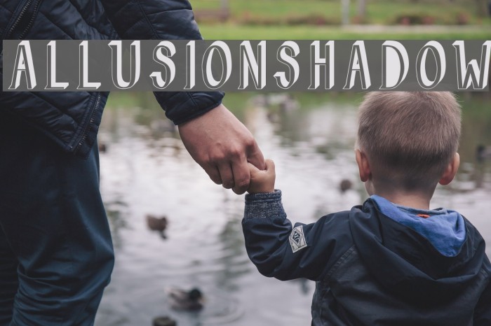 AllusionShadow Example 1