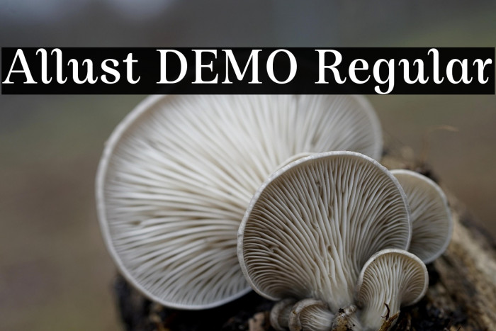 Allust DEMO Regular Example 2