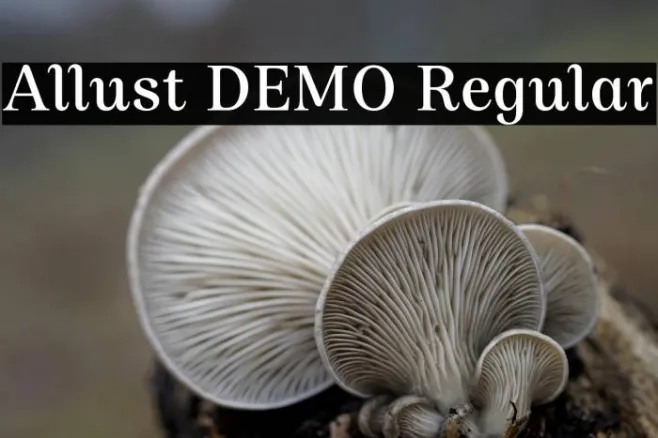 Allust DEMO Regular Example 2