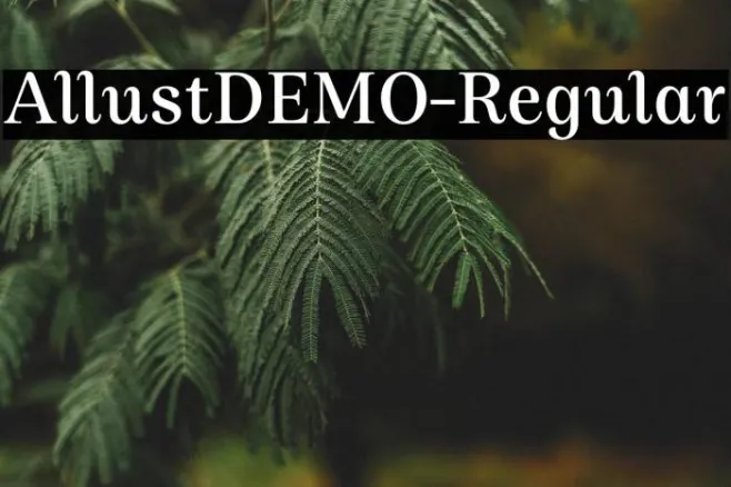 AllustDEMO-Regular Example 1