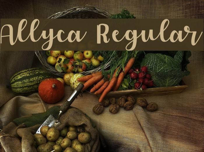 Allyca Regular Font examples