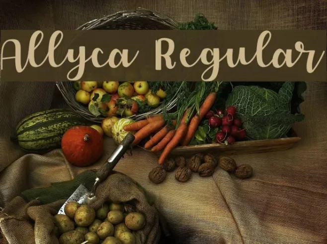 Allyca Regular Example 1