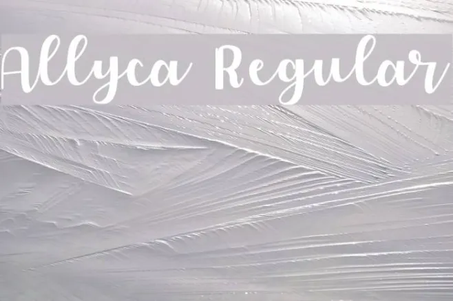 Allyca Regular Example 3